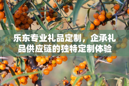 乐东专业礼品定制，企承礼品供应链的独特定制体验